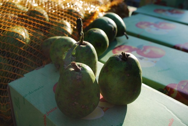 Grüne Birnen und Äpfel in einem gelben Beutel liegen auf Tetrapacks