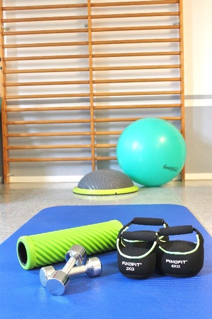 Hanteln und Faszienrolle liegen auf einer Gymnastikmatte, im Hintergrund eine Sprossenwand und ein Ball