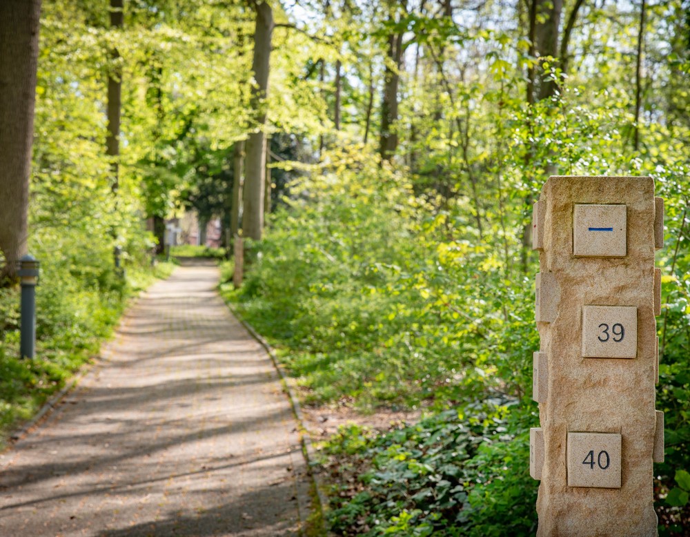 Ein gepflasterter Weg führt durch einen Wald. Rechts steht eine Sandsteinstele mit quadratischen Ziffernblöcken. Foto: Henrike Hochschulz