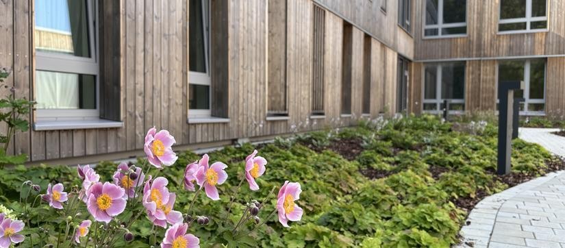 Modernes Gebäude mit Holzfassade, vor dem rosafarbene Blumen blühen