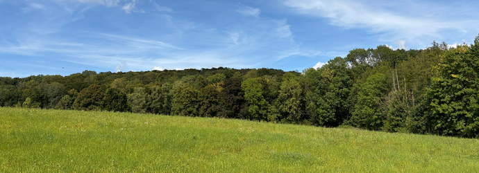 Teutoburger Wald mit grüner Wiese davor unter blauem Himmel