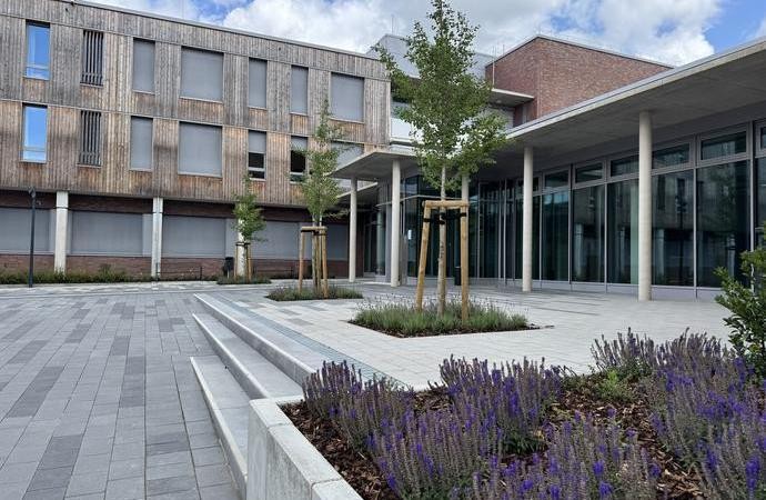 frisch gepflasterter Platz mit jungem Baum vor neuem Gebäude mit Säulen vor dem Eingang