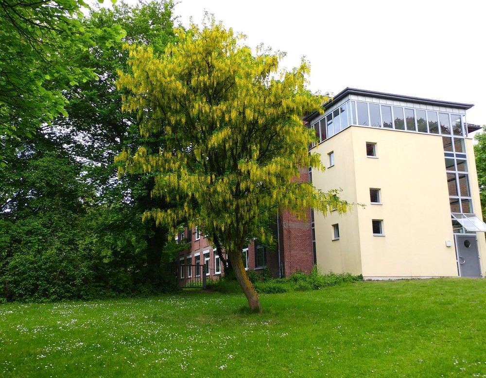 Ein dreistöckiges, rotes Gebäude mit einem hellgelben Treppenhausanbau, davor ein blühender Goldregen. Foto: Dr. Bernward SIegmund