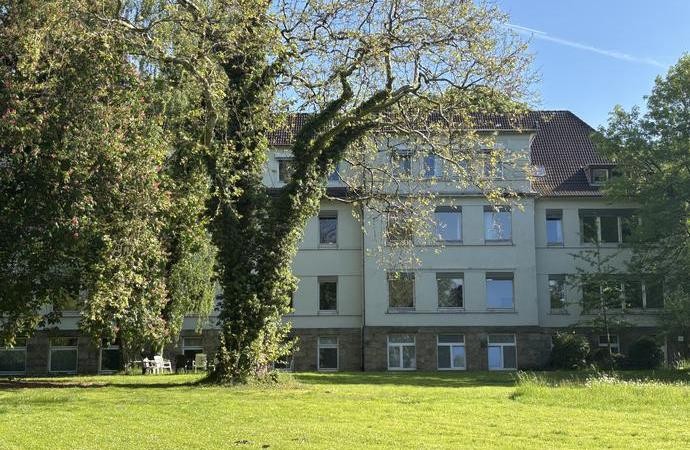 weißes Gebäude hinter großen Bäumen