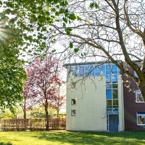 Ein dreistöckiges, hellgelbes Haus hinter einem Baum, durch den die Sonne scheint.