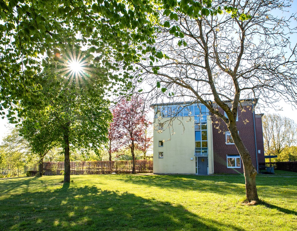 Ein dreistöckiges Gebäude mit einem hellgelben Treppenhausanbau, davor Rasen und hohe Bäume, durch die die Sonne scheint. Foto: Henrike Hochschulz