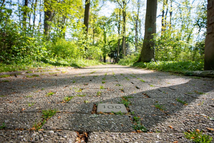 Eingelassener Stein mit der Nummer 100 auf dem Lengericher Gedenkpfad