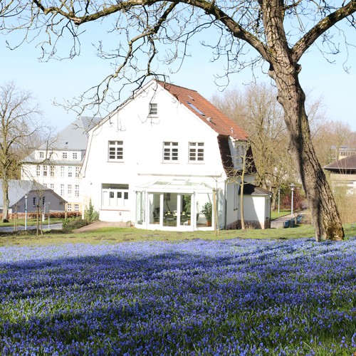 Weisses Gebäude in einem Park