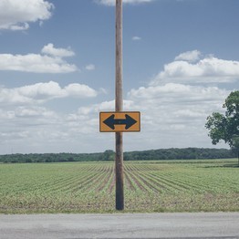 An einem hohen Pfosten der vor einem grünen Feld steht, hängt ein gelbes Schild mit einem schwarzen Pfeil nach rechts und einem nach links