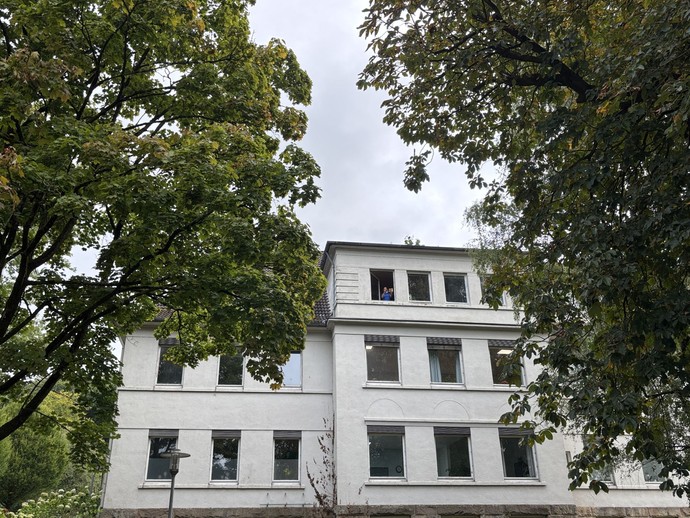 Weißes Gebäude hinter großen Bäumen